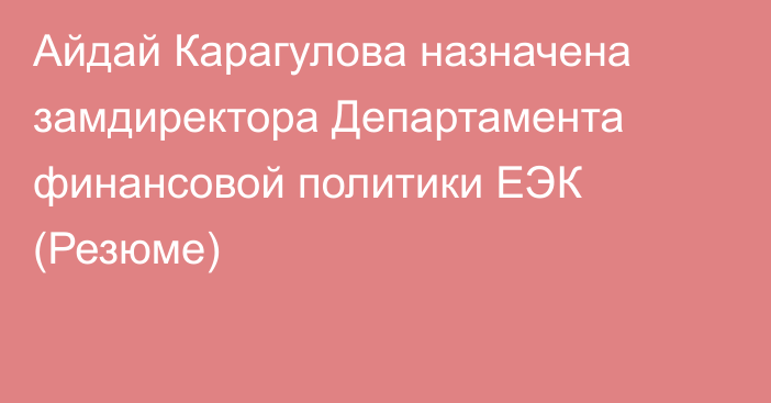 Айдай Карагулова назначена замдиректора Департамента финансовой политики ЕЭК (Резюме)