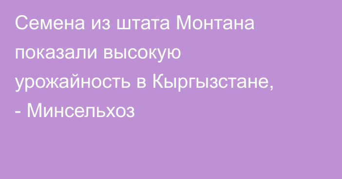 Семена из штата Монтана показали высокую урожайность в Кыргызстане, - Минсельхоз