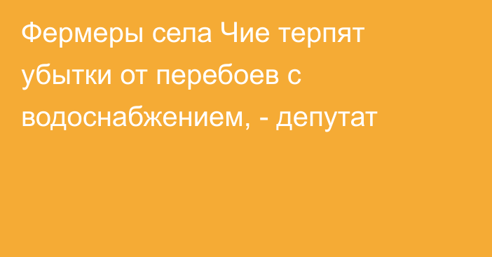 Фермеры села Чие терпят убытки от перебоев с водоснабжением, - депутат