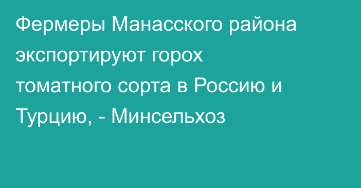 Фермеры Манасского района экспортируют горох томатного сорта в Россию и Турцию, - Минсельхоз