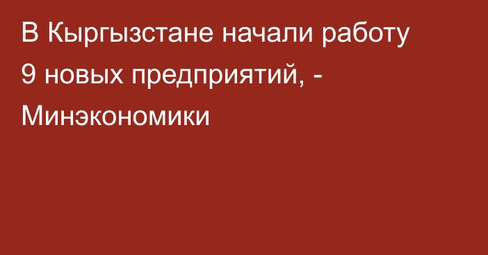 В Кыргызстане начали работу 9 новых предприятий, - Минэкономики