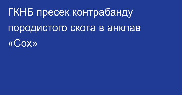 ГКНБ пресек контрабанду породистого скота в анклав «Сох»