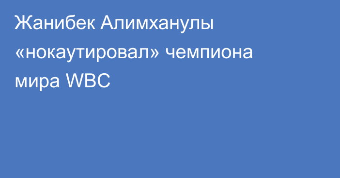 Жанибек Алимханулы «нокаутировал» чемпиона мира WBC