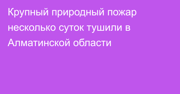 Крупный природный пожар несколько суток тушили в Алматинской области
