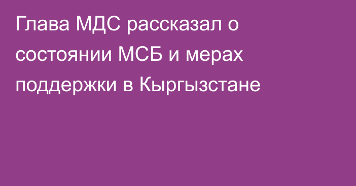 Глава МДС рассказал о состоянии МСБ и мерах поддержки в Кыргызстане