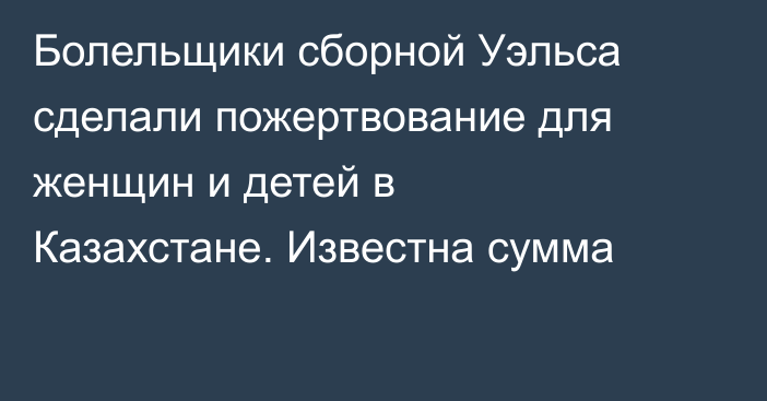 Болельщики сборной Уэльса сделали пожертвование для женщин и детей в Казахстане. Известна сумма