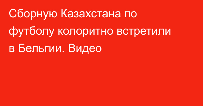 Сборную Казахстана по футболу колоритно встретили в Бельгии. Видео