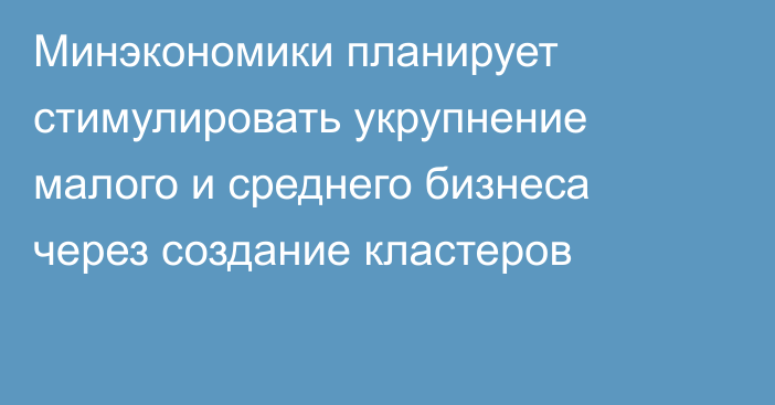 Минэкономики планирует стимулировать укрупнение малого и среднего бизнеса через создание кластеров