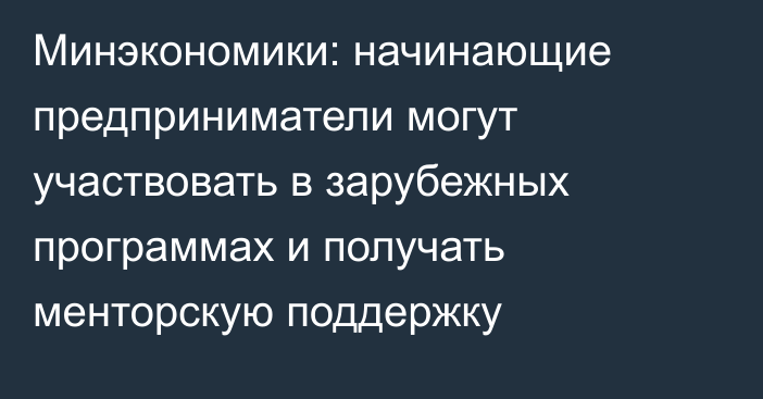 Минэкономики: начинающие предприниматели могут участвовать в зарубежных программах и получать менторскую поддержку