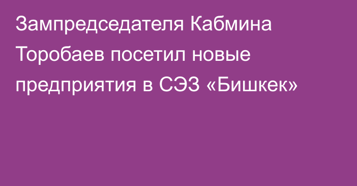 Зампредседателя Кабмина Торобаев посетил новые предприятия в СЭЗ «Бишкек»