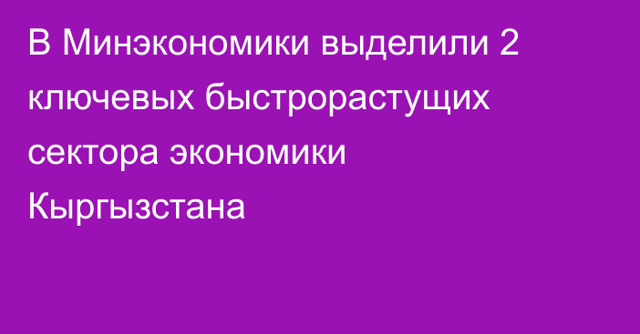 В Минэкономики выделили 2 ключевых быстрорастущих сектора экономики Кыргызстана