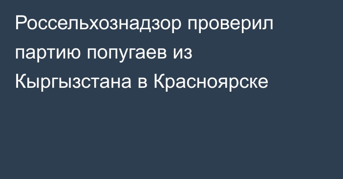 Россельхознадзор проверил партию попугаев из Кыргызстана в Красноярске