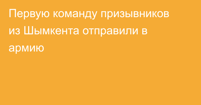 Первую команду призывников из Шымкента отправили в армию