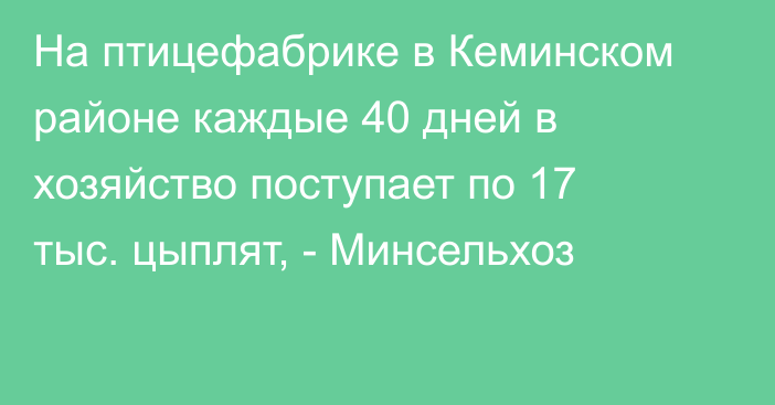 На птицефабрике в Кеминском районе каждые 40 дней в хозяйство поступает по 17 тыс. цыплят, - Минсельхоз