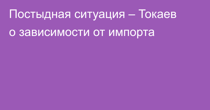 Постыдная ситуация – Токаев о зависимости от импорта