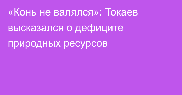«Конь не валялся»: Токаев высказался о дефиците природных ресурсов