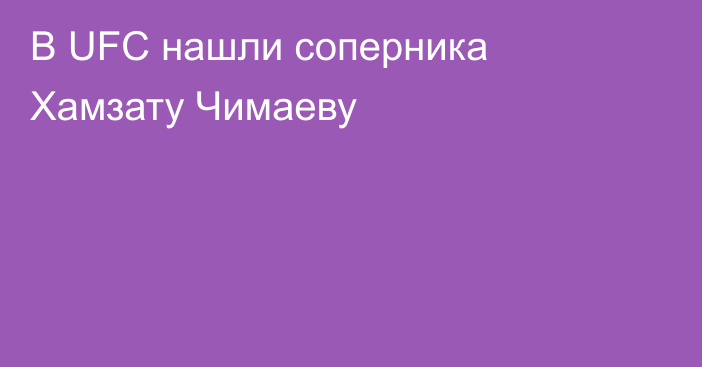 В UFC нашли соперника Хамзату Чимаеву