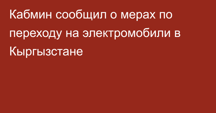 Кабмин сообщил о мерах по переходу на электромобили в Кыргызстане