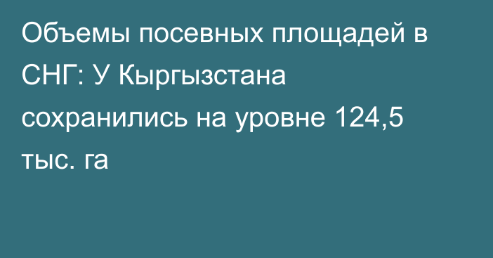 Объемы посевных площадей в СНГ: У Кыргызстана сохранились на уровне 124,5 тыс. га