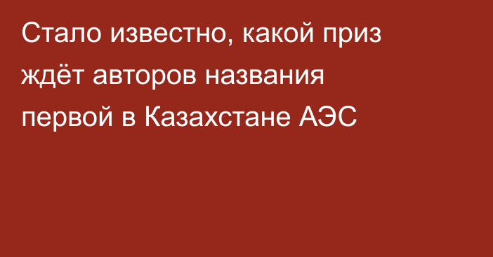 Стало известно, какой приз ждёт авторов названия первой в Казахстане АЭС