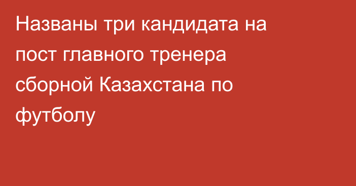Названы три кандидата на пост главного тренера сборной Казахстана по футболу
