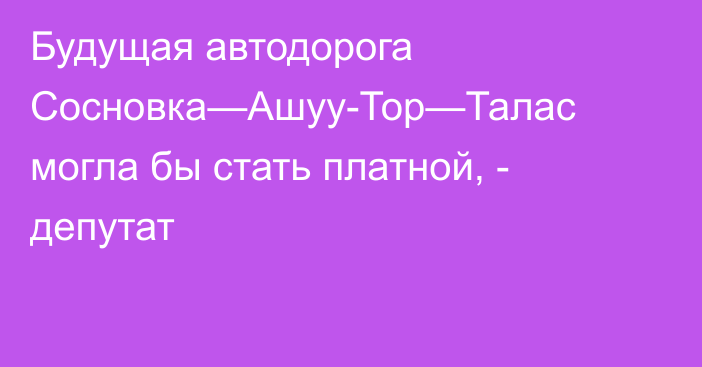 Будущая автодорога Сосновка—Ашуу-Тор—Талас могла бы стать платной, - депутат