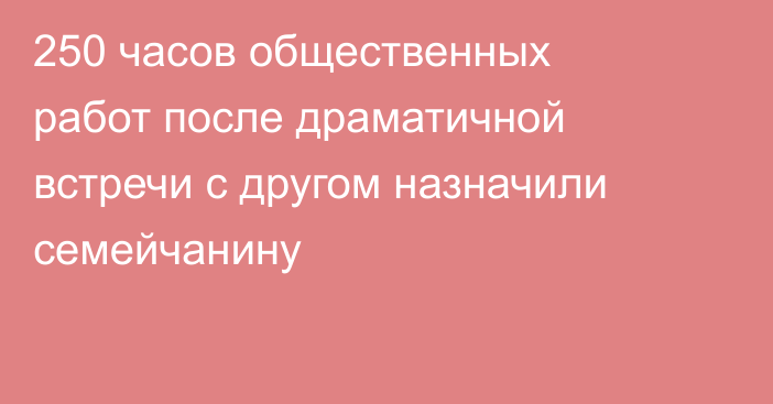 250 часов общественных работ после драматичной встречи с другом назначили семейчанину