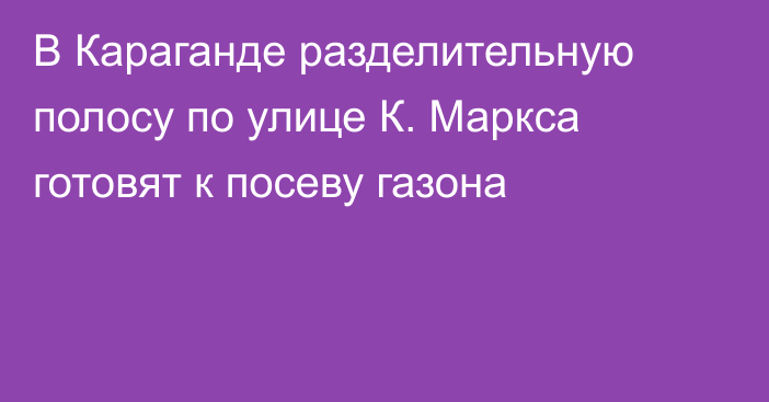 В Караганде разделительную полосу по улице К. Маркса готовят к посеву газона