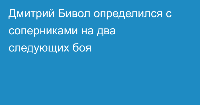 Дмитрий Бивол определился с соперниками на два следующих боя