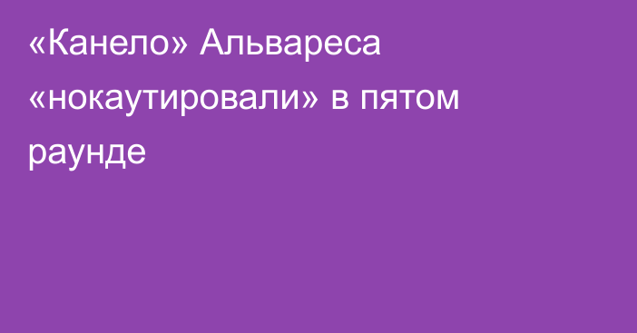 «Канело» Альвареса «нокаутировали» в пятом раунде