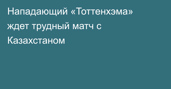 Нападающий «Тоттенхэма» ждет трудный матч с Казахстаном