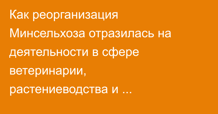Как реорганизация Минсельхоза отразилась на деятельности в сфере ветеринарии, растениеводства и животноводства