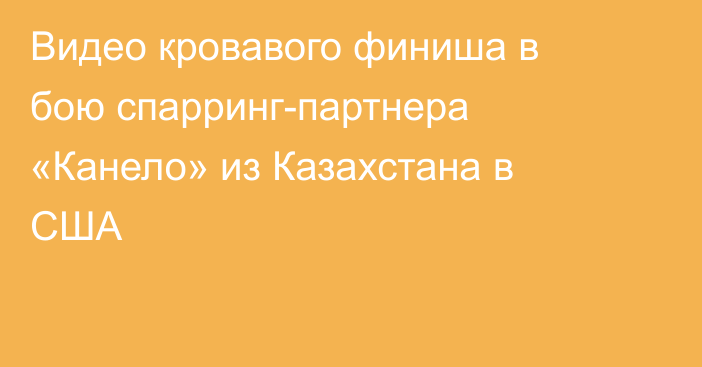 Видео кровавого финиша в бою спарринг-партнера «Канело» из Казахстана в США
