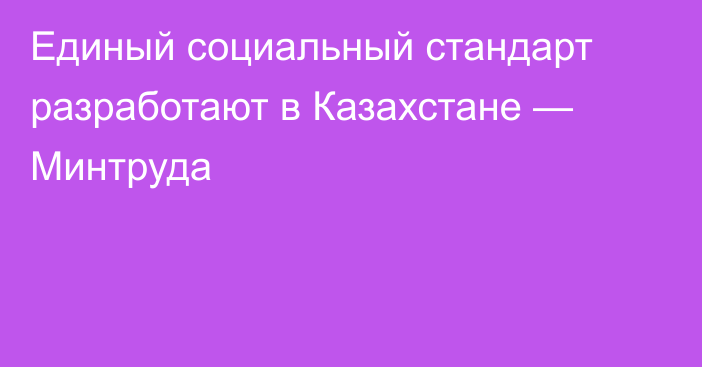 Единый социальный стандарт разработают в Казахстане — Минтруда