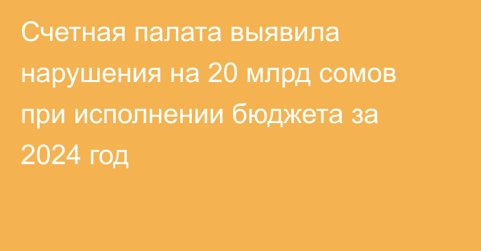 Счетная палата выявила нарушения на 20 млрд сомов при исполнении бюджета за 2024 год