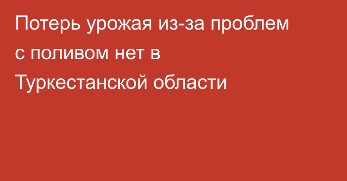 Потерь урожая из-за проблем с поливом нет в Туркестанской области