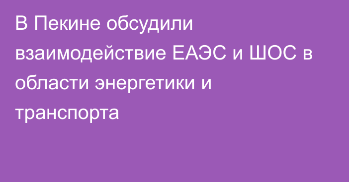 В Пекине обсудили взаимодействие ЕАЭС и ШОС в области энергетики и транспорта