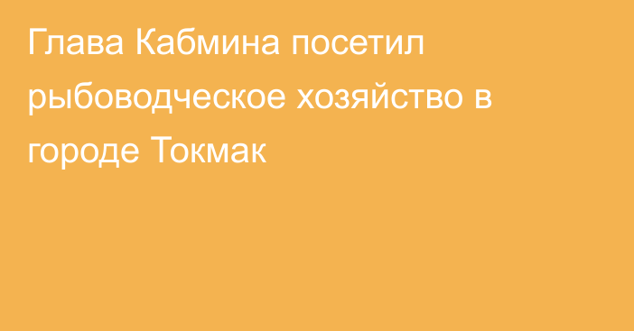 Глава Кабмина посетил рыбоводческое хозяйство в городе Токмак