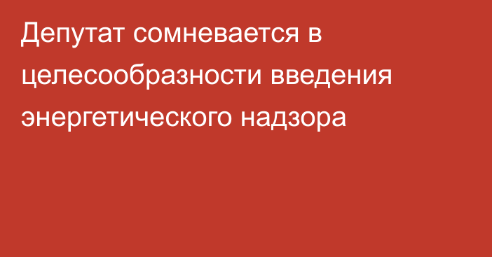 Депутат сомневается в целесообразности введения энергетического надзора
