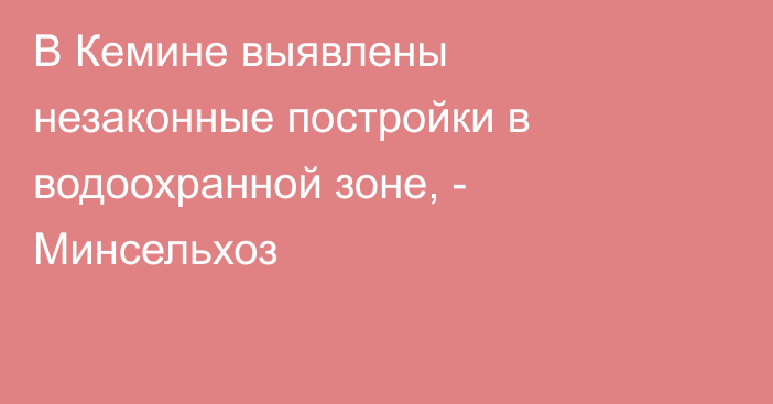 В Кемине выявлены незаконные постройки в водоохранной зоне, - Минсельхоз