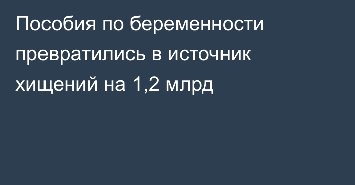 Пособия по беременности превратились в источник хищений на 1,2 млрд