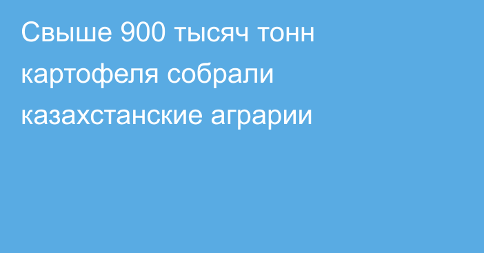 Свыше 900 тысяч тонн картофеля собрали казахстанские аграрии