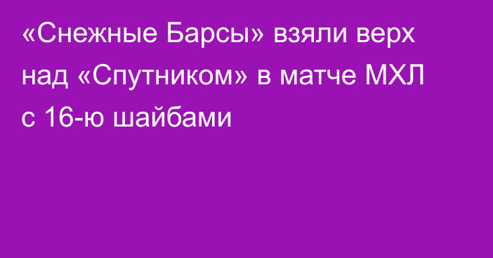 «Снежные Барсы» взяли верх над «Спутником» в матче МХЛ с 16-ю шайбами