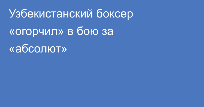Узбекистанский боксер «огорчил» в бою за «абсолют»
