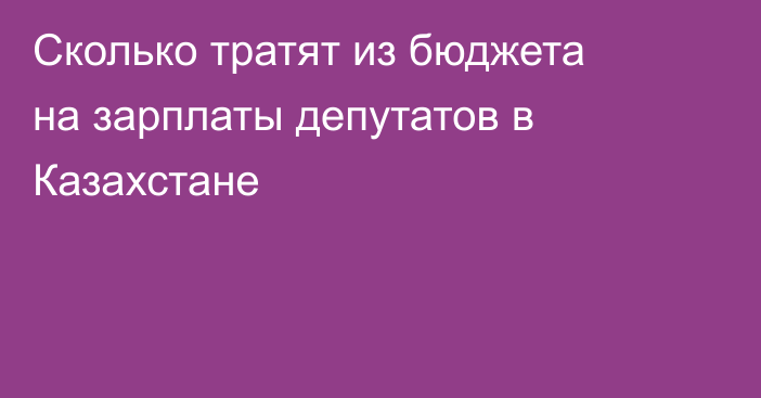Сколько тратят из бюджета на зарплаты депутатов в Казахстане