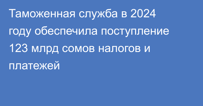 Таможенная служба в 2024 году обеспечила поступление 123 млрд сомов налогов и платежей