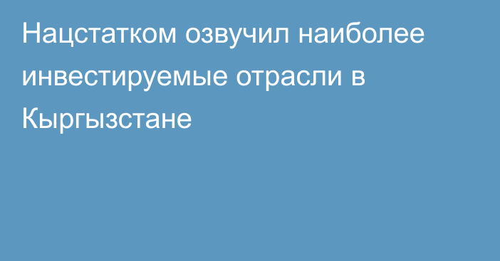 Нацстатком озвучил наиболее инвестируемые отрасли в Кыргызстане