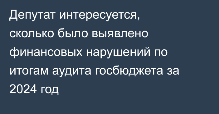 Депутат интересуется, сколько было выявлено финансовых нарушений по итогам аудита госбюджета за 2024 год
