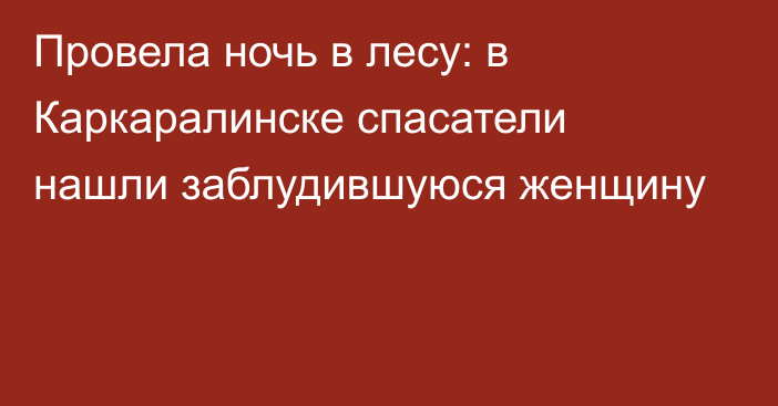 Провела ночь в лесу: в Каркаралинске спасатели нашли заблудившуюся женщину