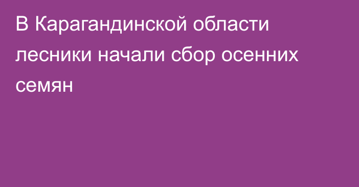 В Карагандинской области лесники начали сбор осенних семян